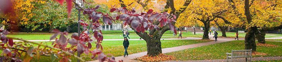 Quad in Fall