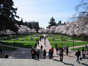 Photo of UW Quad